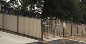 fence with leaves and colorbound